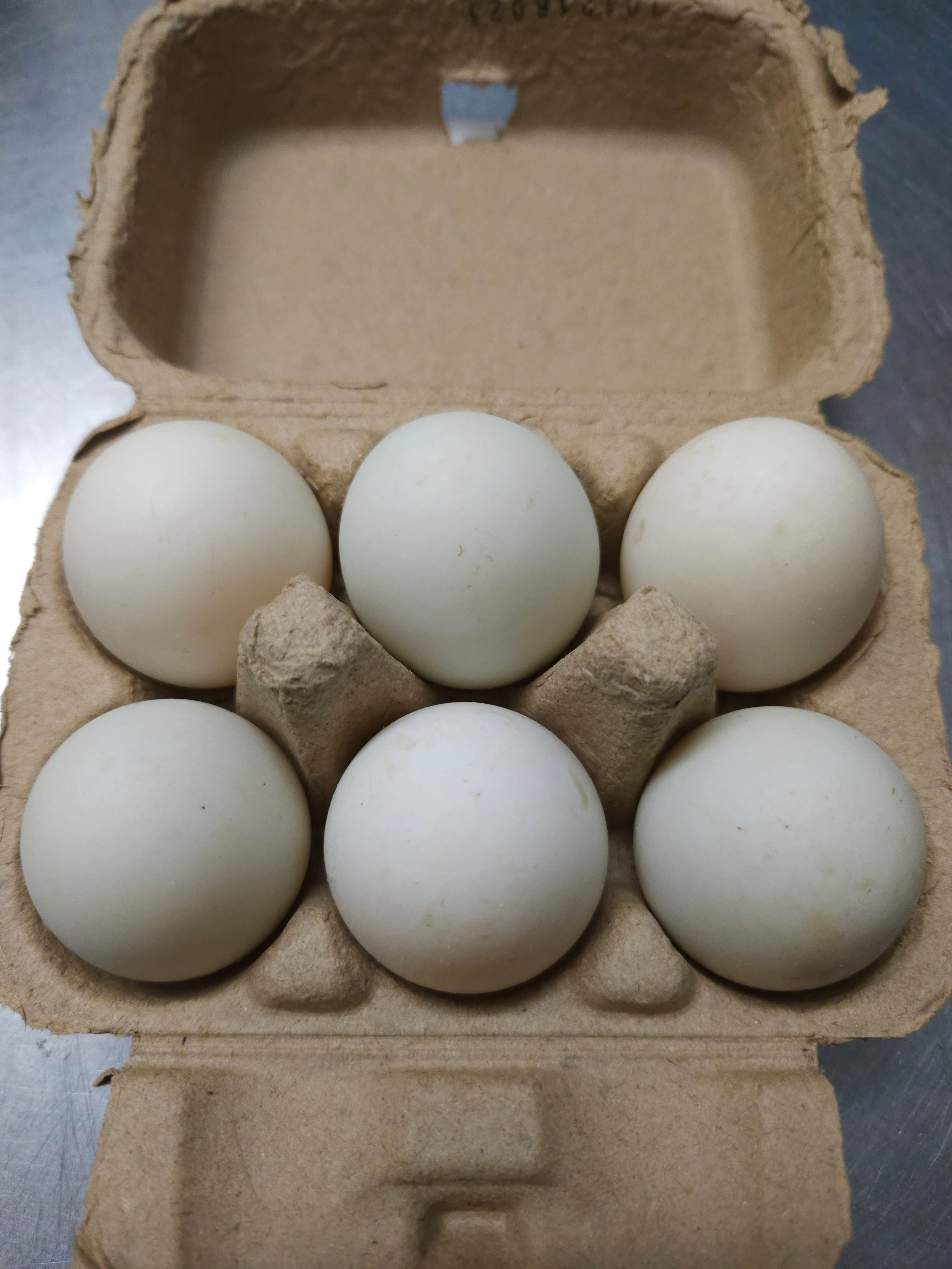 U.S.D.A. Organic Duck Eggs (Half-Dozen, Soy Free) – Happy