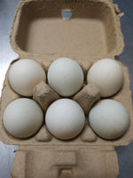 Load image into Gallery viewer, U.S.D.A. Organic Duck Eggs (Half-Dozen, Soy Free)
