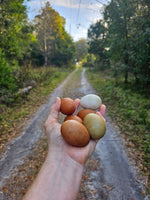 Load image into Gallery viewer, USDA Organic Laying Hens
