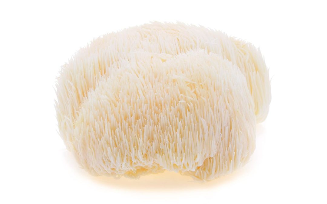 Organic Lions Mane Mushroom Capsules